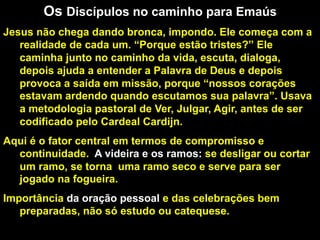 Os Discípulos no caminho para Emaús
Jesus não chega dando bronca, impondo. Ele começa com a
realidade de cada um. “Porque estão tristes?” Ele
caminha junto no caminho da vida, escuta, dialoga,
depois ajuda a entender a Palavra de Deus e depois
provoca a saída em missão, porque “nossos corações
estavam ardendo quando escutamos sua palavra”. Usava
a metodologia pastoral de Ver, Julgar, Agir, antes de ser
codificado pelo Cardeal Cardijn.
Aqui é o fator central em termos de compromisso e
continuidade. A videira e os ramos: se desligar ou cortar
um ramo, se torna uma ramo seco e serve para ser
jogado na fogueira.
Importância da oração pessoal e das celebrações bem
preparadas, não só estudo ou catequese.

50

 