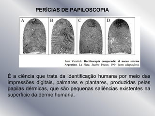 PERÍCIAS DE PAPILOSCOPIA
É a ciência que trata da identificação humana por meio das
impressões digitais, palmares e plantares, produzidas pelas
papilas dérmicas, que são pequenas saliências existentes na
superfície da derme humana.
 