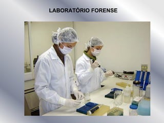 LABORATÓRIO FORENSE
 