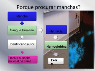 Porque procurar manchas?
Incluir suspeito
no local de crime
Hemoglobina
Ferr
o
Hemácia
 