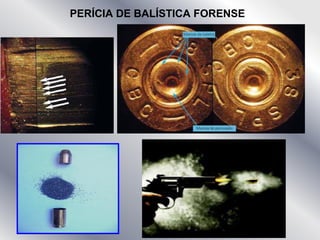 PERÍCIA DE BALÍSTICA FORENSE
 