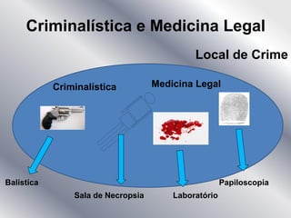 Criminalística e Medicina Legal
Local de Crime
Balística Papiloscopia
Sala de Necropsia Laboratório
Criminalística Medicina Legal
 