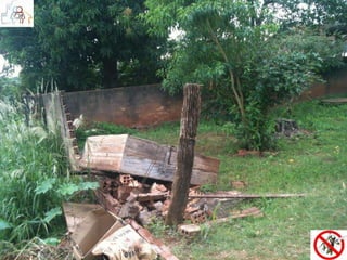 CONTROLE DO VETOR 
A REMOÇÃO TAMBÉM PODE SER QUÍMICA, POR USO DE INSETICIDAS 
MEDIANTE NEBULIZAÇÃO A FRIO POR UBV (Ultra Baixo Volume) 
UBV COSTAL: portátil, quando o ACE leva o inseticida consigo, nas costas, e, 
com todos os EPIs, faz aplicação em domicílio (bloqueio) 
UBV PESADO (“fumacê”): acomplado em veículos de porte, SOMENTE COM 
AUTORIZAÇÃO E SUPERVISÃO DIRETA E ININTERRUPTA DA SESA 
O controle químico somente deve ser adotado quando o controle mecânico for 
insuficiente, e sempre mediante criteriosa supervisão de equipe técnica da 
Vigilância Epidemiológica estadual. Nesse sentido as Diretrizes Nacionais do 
Ministério da Saúde para Prevenção e Controle de Epidemias de Dengue 
recomendam o uso racional e seguro dos inseticidas nas atividades de controle 
vetorial, tendo em vista que o seu emprego indiscriminado determina impactos 
ambientais, além da possibilidade de desenvolvimento da resistência dos vetores 
aos produtos 
 