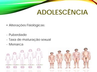 ADOLESCÊNCIA
• Alterações Fisiológicas:
- Puberdade
- Taxa de maturação sexual
- Menarca
 