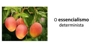 O essencialismo
determinista
 
