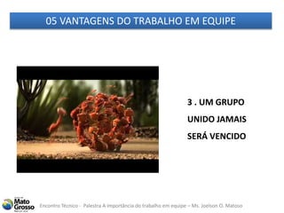 Encontro Técnico - Palestra A importância do trabalho em equipe – Ms. Joelson O. Matoso
05 VANTAGENS DO TRABALHO EM EQUIPE
3 . UM GRUPO
UNIDO JAMAIS
SERÁ VENCIDO
 