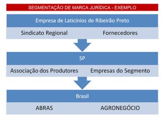 SEGMENTAÇÃO DE MARCA JURÍDICA - EXEMPLO
 