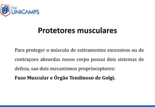 Protetores musculares
Para proteger o músculo de estiramentos excessivos ou de
contraçoes absurdas nosso corpo possui dois sistemas de
defesa, sao dois mecanismos proprioceptores:
Fuso Muscular e Órgão Tendinoso de Golgi.
 