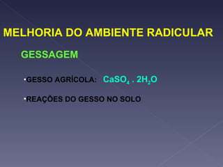 MELHORIA DO AMBIENTE RADICULAR GESSO AGRÍCOLA:  CaSO 4  . 2H 2 O  REAÇÕES DO GESSO NO SOLO GESSAGEM 