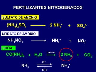 FERTILIZANTES NITROGENADOS urease SULFATO DE AMÔNIO URÉIA NITRATO DE AMÔNIO (NH 4 ) 2 SO 4 2 NH 4 + + SO 4 2- CO(NH 2 ) 2 2 NH 3 + CO 2 + H 2 O NH 3 NH 4 + H + OH - NH 4 NO 3 NH 4 + + NO 3 - 