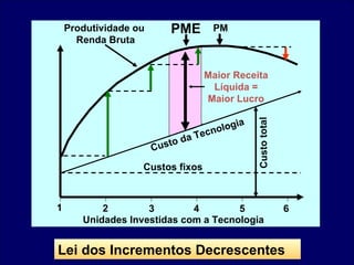 Lei dos Incrementos Decrescentes PME Custos fixos PM Custo da Tecnologia Unidades Investidas com a Tecnologia Produtividade ou  Renda Bruta 1 2 3 4 5 6 Maior Receita Líquida = Maior Lucro Custo total 