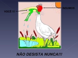 NÃO DESISTA NUNCA!!! INSUMOS VOCÊ !!! 