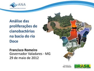 Análise das
proliferações de
cianobactérias
na bacia do rio
Doce

Francisco Romeiro
Governador Valadares - MG
29 de maio de 2012
 