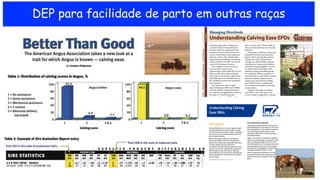 DEP para facilidade de parto em outras raças
 