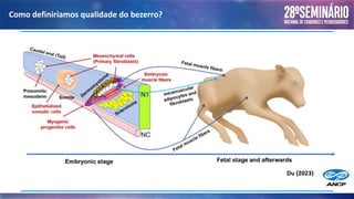 Como definiríamos qualidade do bezerro?
Du (2023)
 