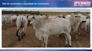 Mês de nascimento e capacidade de crescimento
 