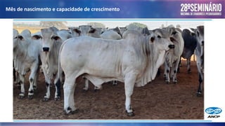 Mês de nascimento e capacidade de crescimento
 