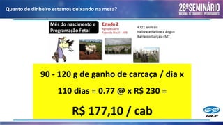 Quanto de dinheiro estamos deixando na mesa?
90 - 120 g de ganho de carcaça / dia x
110 dias = 0.77 @ x R$ 230 =
R$ 177,10 / cab
 