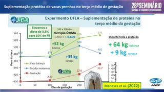 Suplementação protéica de vacas prenhas no terço médio de gestação
 