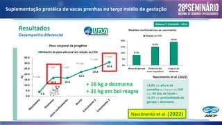 Suplementação protéica de vacas prenhas no terço médio de gestação
 