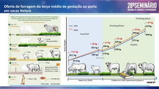 Oferta de forragem do terço médio de gestação ao parto
em vacas Nelore
 