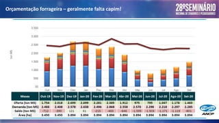 Orçamentação forrageira – geralmente falta capim!
 