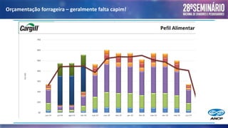 Orçamentação forrageira – geralmente falta capim!
 