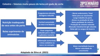 Colostro – falamos muito pouco do tema em gado de corte
Nutrição inadequada
da vaca antes do parto
Baixo suprimento de
aminoácios
Progesterona elevada
Estrógeno reduzido
Cortisol aumentado
na vaca e no bezerro
Fluxo sanguíneo
reduzido para o útero
e glândula mamária
Inflamação aumentada
/ stress oxidativo na
vaca e no concepto
- Morte embrionária / fetal
- Baixo peso ao nascimento
- Longo trabalho de parto
- Atraso na produção de leite
- Baixa qualidade do colostro
- Produção de colostro reduzida
- Absorção intestinal de IgG reduzida
- Baixo IgG no sangue do bezerro
- Maior mortalidade bezerro
- Menor velocidade de
crescimento
Adaptado de Silva al. (2023)
 