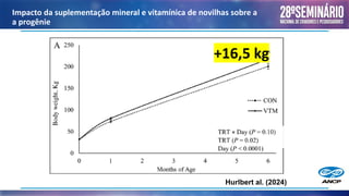 +16,5 kg
Impacto da suplementação mineral e vitamínica de novilhas sobre a
a progênie
Hurlbert al. (2024)
 
