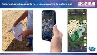 Sabemos ou medimos quanto nossas vacas consome de suplemento?
 