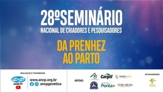 Nutrição fetal e a qualidade do bezerro produzido