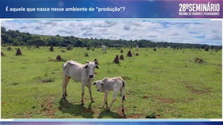 É aquele que nasce nesse ambiente de “produção”?
 