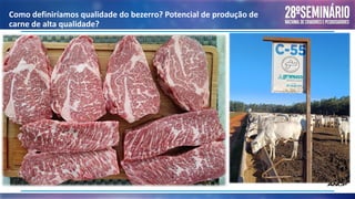 Como definiríamos qualidade do bezerro? Potencial de produção de
carne de alta qualidade?
 