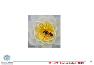 IF - UFF Andrea Latgé 2013
25
 