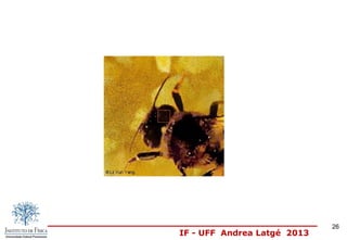 IF - UFF Andrea Latgé 2013
26
 