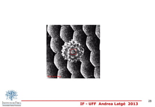 IF - UFF Andrea Latgé 2013
28
 