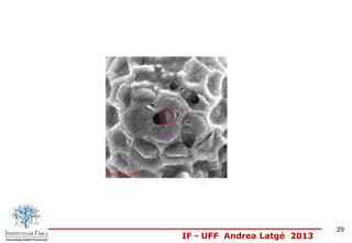 IF - UFF Andrea Latgé 2013
29
 