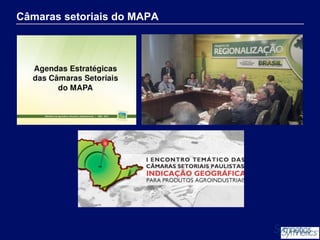 Câmaras setoriais do MAPA

 