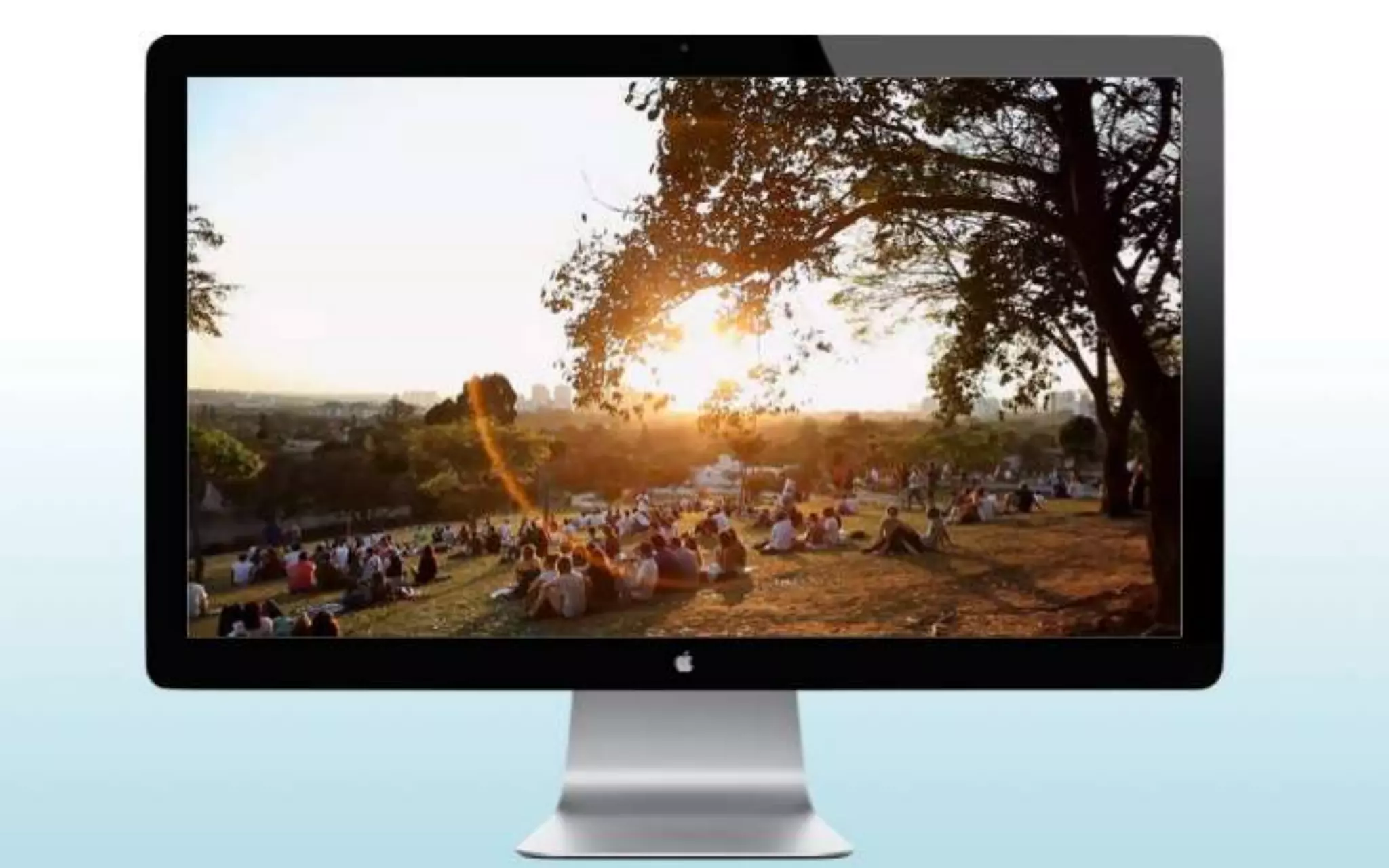 Do PDV para o mundo - a Internet como ferramenta de Marketing