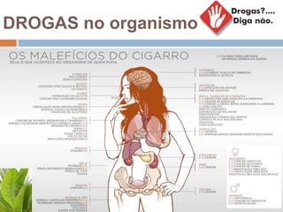 DROGAS no organismo
 
