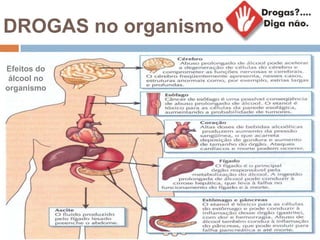 DROGAS no organismo
Efeitos do
álcool no
organismo
 