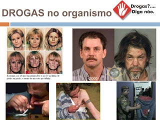 DROGAS no organismo
 
