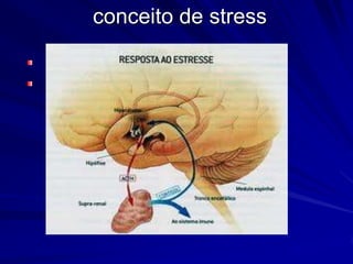 conceito de stress
 
