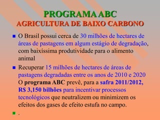 PROGRAMA ABC
    AGRICULTURA DE BAIXO CARBONO
   O Brasil possui cerca de 30 milhões de hectares de
    áreas de pastagens em algum estágio de degradação,
    com baixíssima produtividade para o alimento
    animal
   Recuperar 15 milhões de hectares de áreas de
    pastagens degradadas entre os anos de 2010 e 2020
    O programa ABC prevê, para a safra 2011/2012,
    R$ 3,150 bilhões para incentivar processos
    tecnológicos que neutralizem ou minimizem os
    efeitos dos gases de efeito estufa no campo.
   .
 