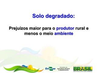 Solo degradado:

Prejuízos maior para o produtor rural e
       menos o meio ambiente
 