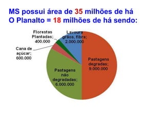 MS possui área de 35 milhões de há
O Planalto = 18 milhões de há sendo:
 