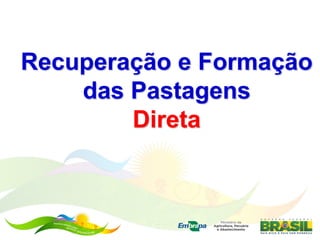 Recuperação e Formação
    das Pastagens
        Direta
 