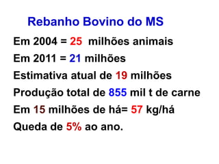 Rebanho Bovino do MS
Em 2004 = 25 milhões animais
Em 2011 = 21 milhões
Estimativa atual de 19 milhões
Produção total de 855 mil t de carne
Em 15 milhões de há= 57 kg/há
Queda de 5% ao ano.
 