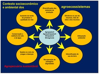 Contexto socioeconômico
e ambiental dos                       Diversificação dos
                                                           agroecossistemas
                                         sistemas de
agroecossistemas                          produção

                 Aumento da renda                           Eficiência no uso de
                   do produtor e                             insumos, mão de
                 qualidade de vida                          obra e dos recursos




                                        Agropastoril
       Conservação e                  Agrossilvipastoril
      melhoria do solo                  Silvipastoril                        Adequação
         e da água                      Silviagrícola                         ambiental




                 Quebra no ciclo de
                 pragas e doenças                            Intensificação do
                                                                uso da terra

                                       Recuperação de
                                          pastagens
                                         degradadas
 Agropecuária sustentável
 