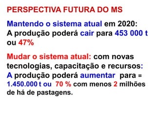 PERSPECTIVA FUTURA DO MS
Mantendo o sistema atual em 2020:
A produção poderá cair para 453 000 t
ou 47%
Mudar o sistema atual: com novas
tecnologias, capacitação e recursos:
A produção poderá aumentar para =
1.450.000 t ou 70 % com menos 2 milhões
de há de pastagens.
 